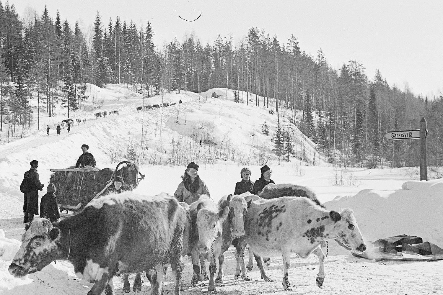 finska vinterkriget evakuering